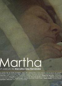 最新玛莎爆料视频大全在线观看,揭秘幕后真相，精彩瞬间不容错过