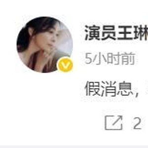 王琳回应爆料新闻内容,澄清事实，捍卫个人名誉